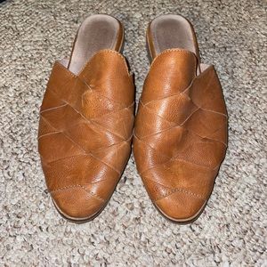 Seychelles Survival Mules